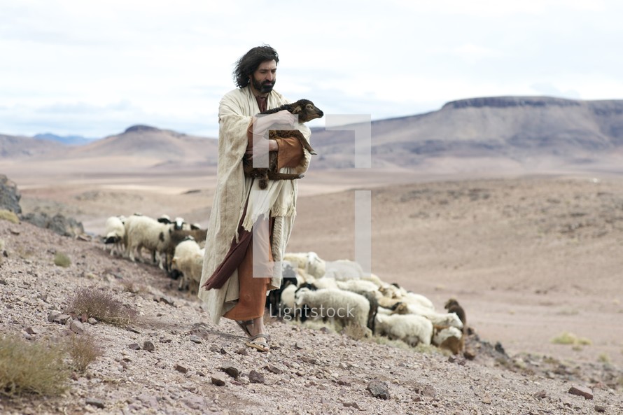 The Parable Of The Lost Sheep