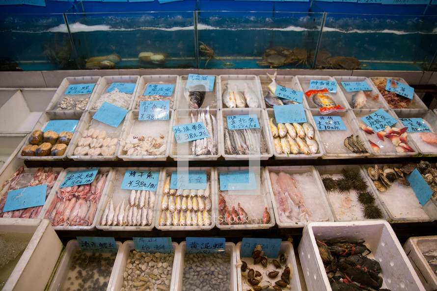 seafood in a market 