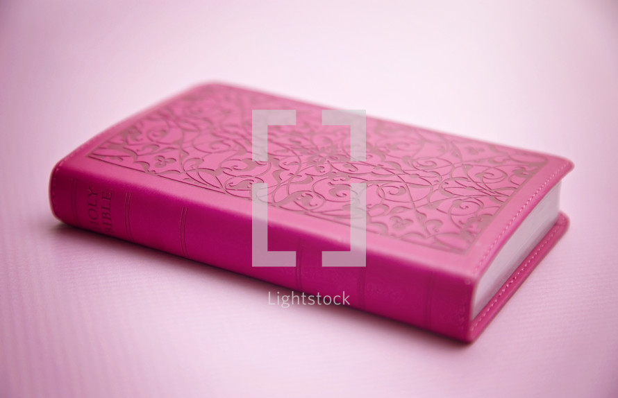 red Bible on pink background