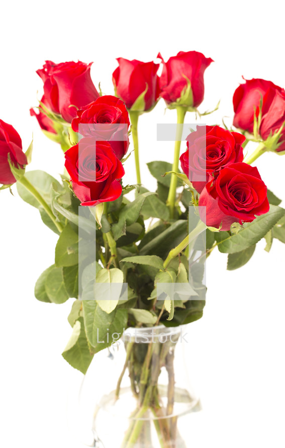 red roses in a vase 