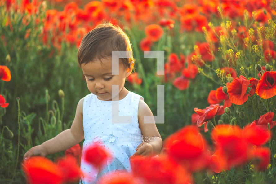 a toddler girl in a field 