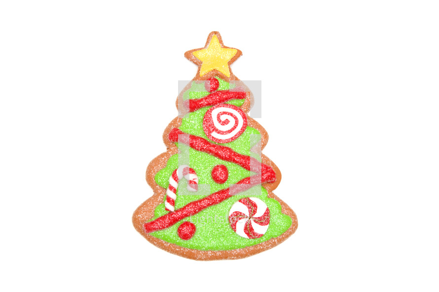 Christmas tree cookie 