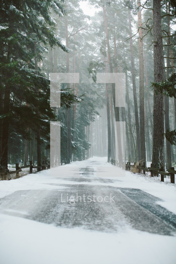 snow on a road and forest 