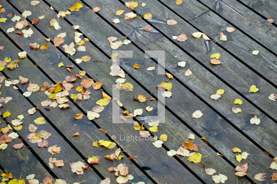 Boards with autumn leaves in the port