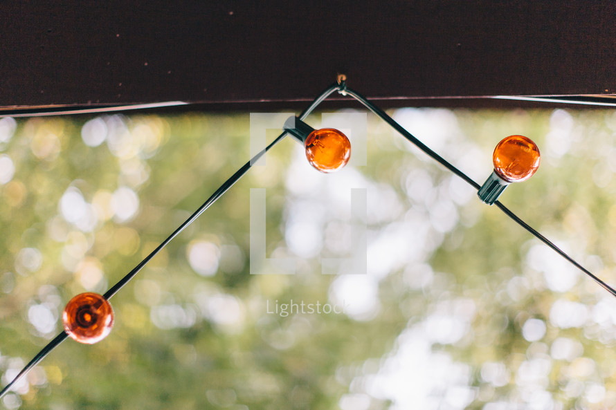 string of orange light bulbs 