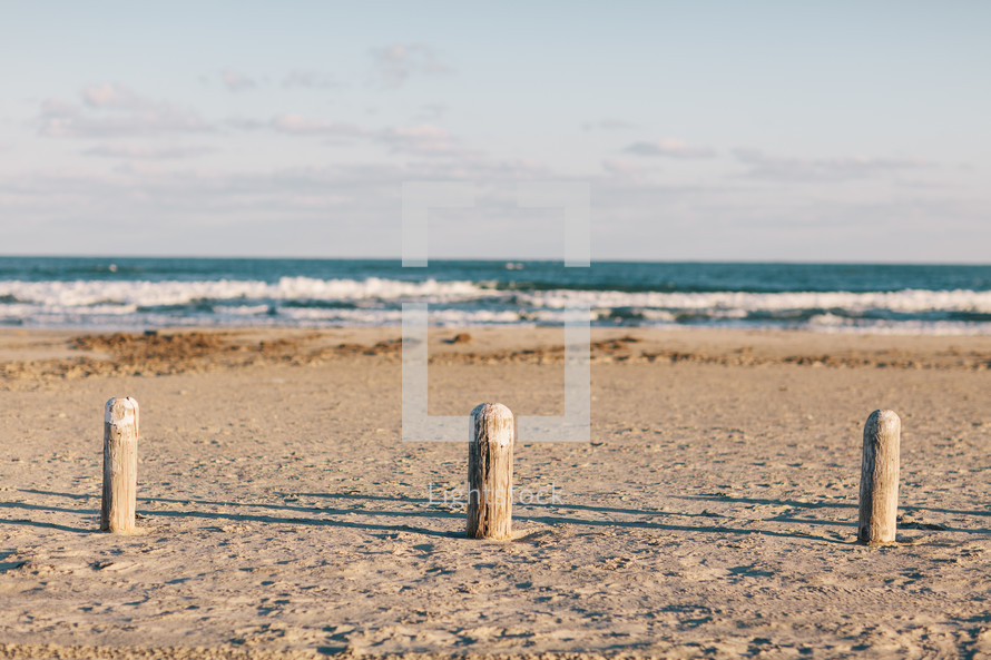 wood posts on a beach 
