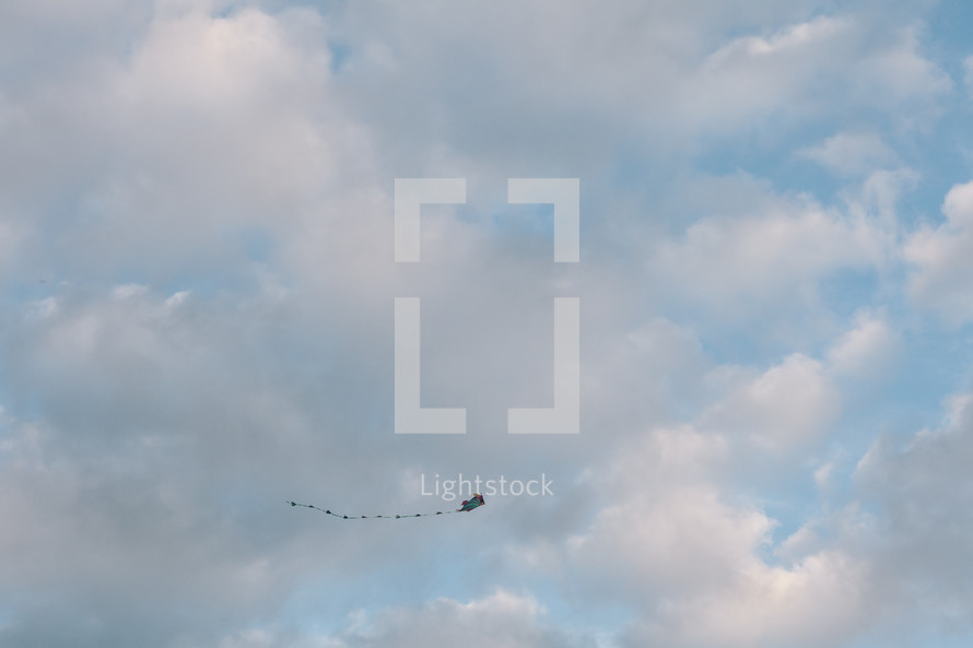 kite in the sky 