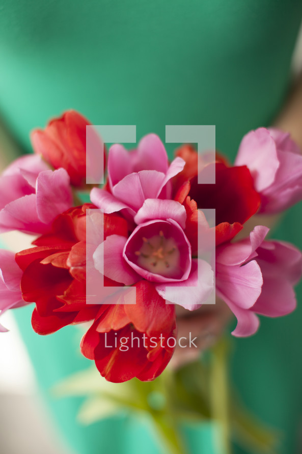 bouquet of red and pink tulips 