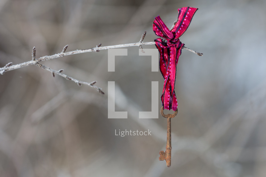 Skeleton key on a ribbon, tied to a twig outside.