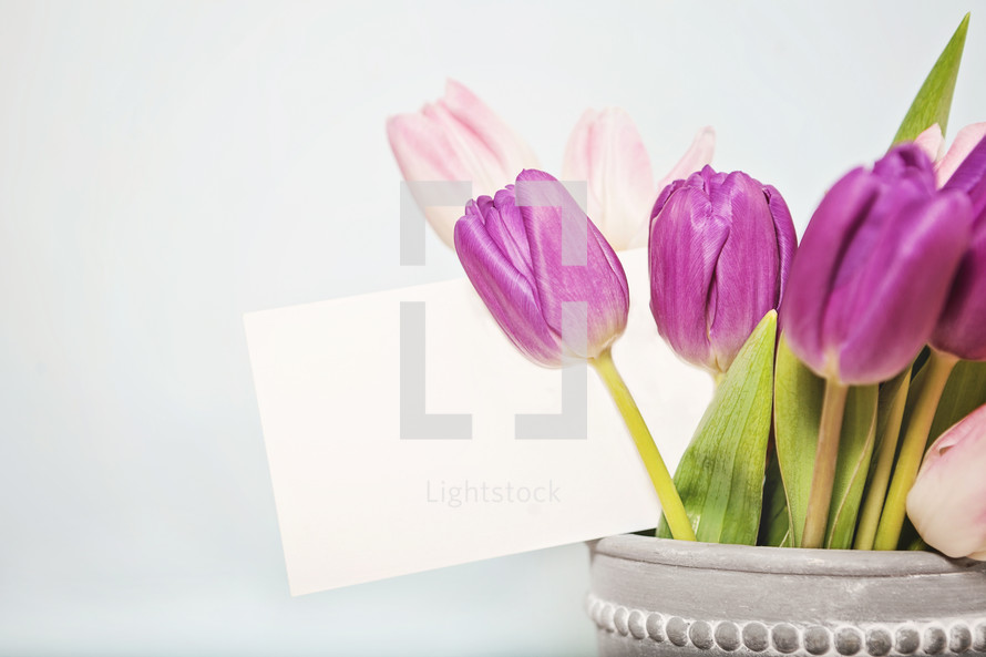 Fresh Flowers with Blank Card