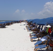 rental lawn chairs and beach umbrellas on a crowded beach 