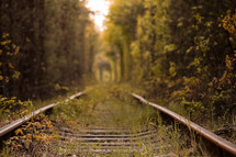 Fall autumn tunnel of love. Tunnel formed by trees and bushes along a old railway in Klevan Ukraine. photo out of focus on the background.