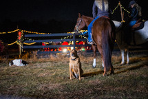 Christmas lights on a ranch 