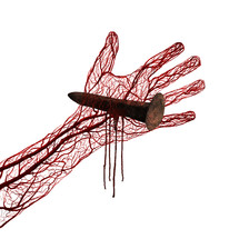 nail through a hand and blood vessels