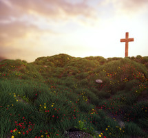 single cross on top of a grassy hill with wild flowers