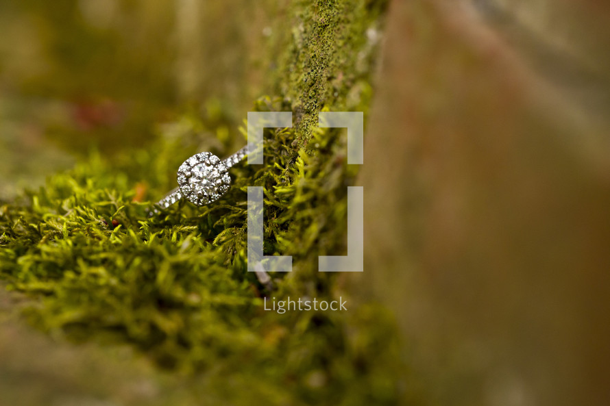 engagement ring in moss 