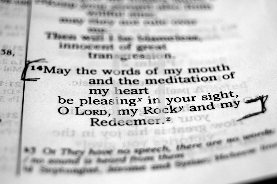 Open BIble on Psalm 19:14