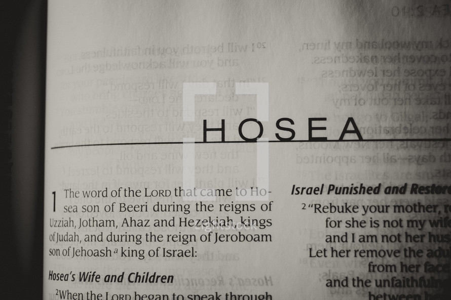 Open Bible in book of Hosea