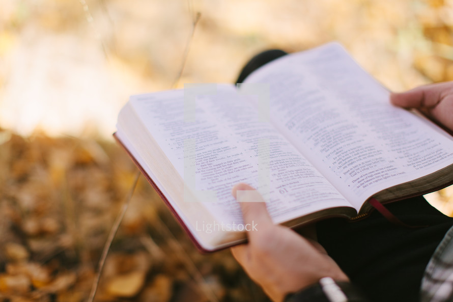 Open Bible During Fall 