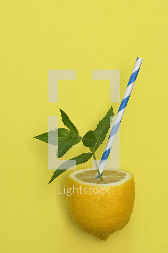 Lemonade from Lemon Fruit, Paper Straw and Mint Leaves