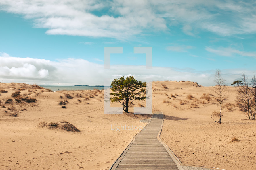wooden path through sand dunes 