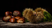 Chestnuts and chestnut bur on wooden table