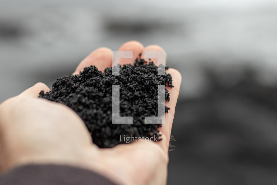 rich black soil 