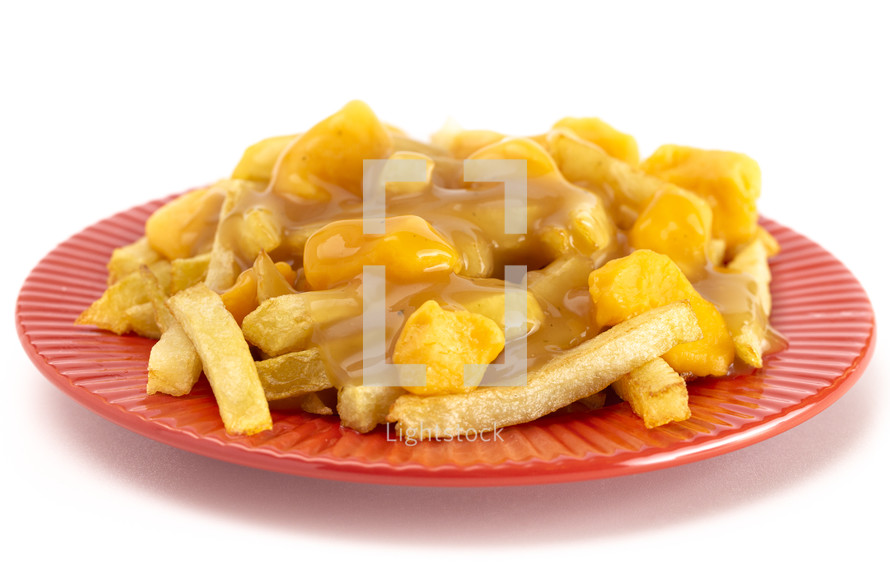 french fries and cheese curds 