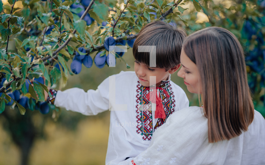 Tender scene of loving son with mom on plum orchard backdrop with sunlight. Beautiful family. Cute 4 years old kid with mother. Parenthood, childhood, happiness, children wellbeing concept.