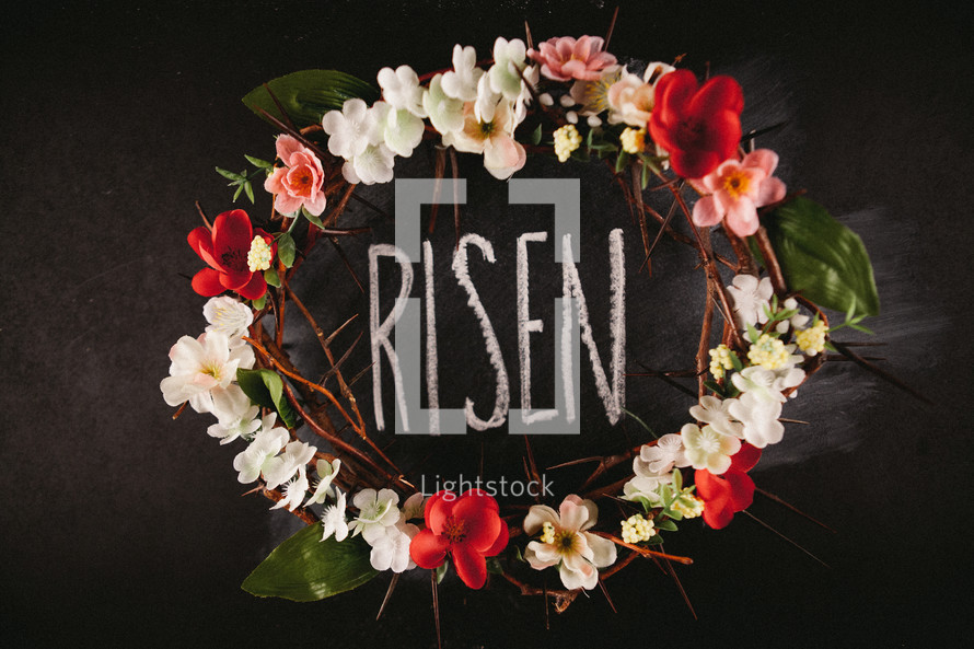 flowers and crown of thorns, Risen 