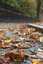 brown fall leaves on gravel 