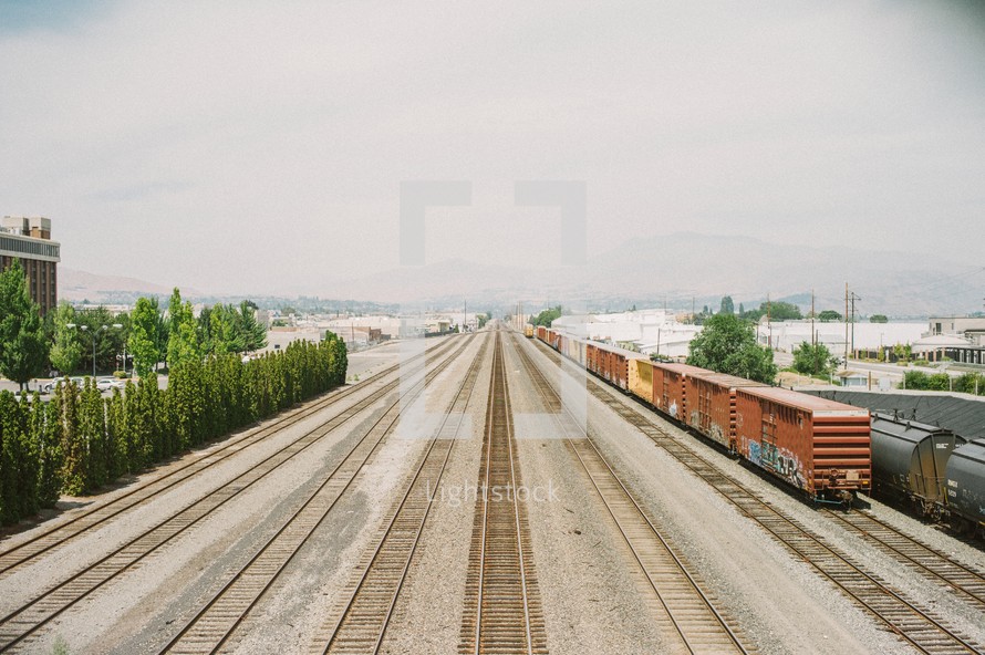 trains on the tracks 