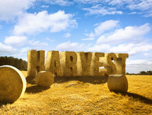 Bales of hay in a field spelling "Harvest."