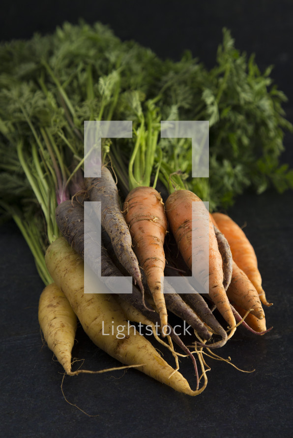 carrots on a black background 