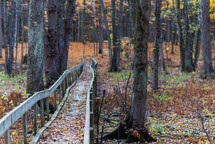 fall leaves on a footbridge in a forest 