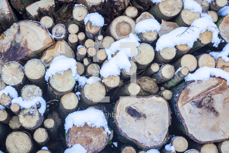 snow on a wood pile 