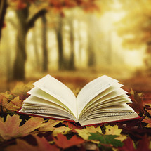 open Bible in fall leaves