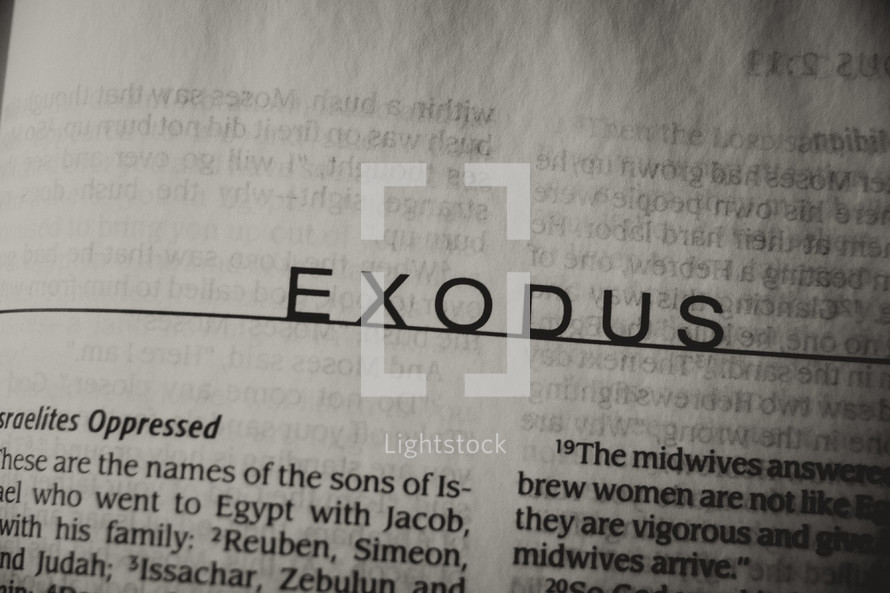 Open Bible in book of Exodus