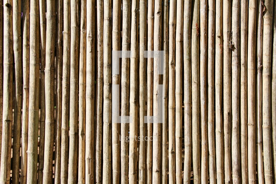 bamboo sticks background 