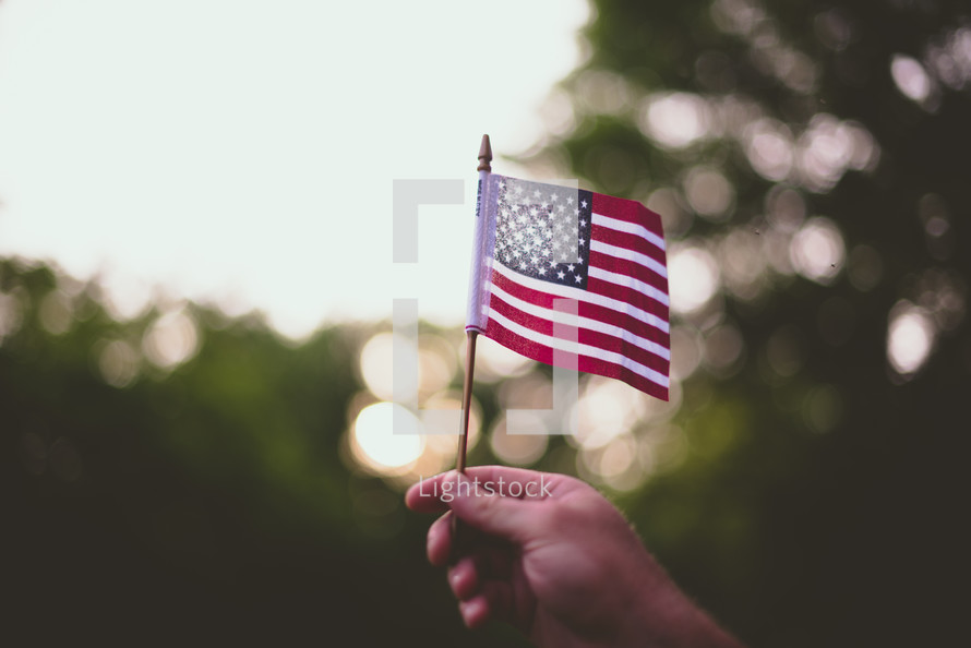 hand holding up an American flag 