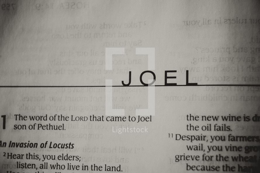 Open Bible in book of Joel