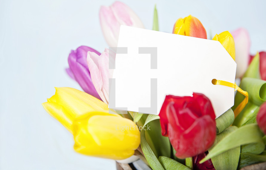 Fresh Flowers with Blank Card