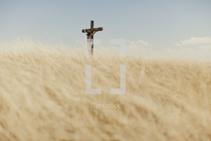 Jesus hanging on a cross in a field