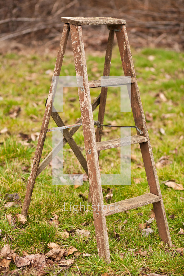 old ladder in the grass