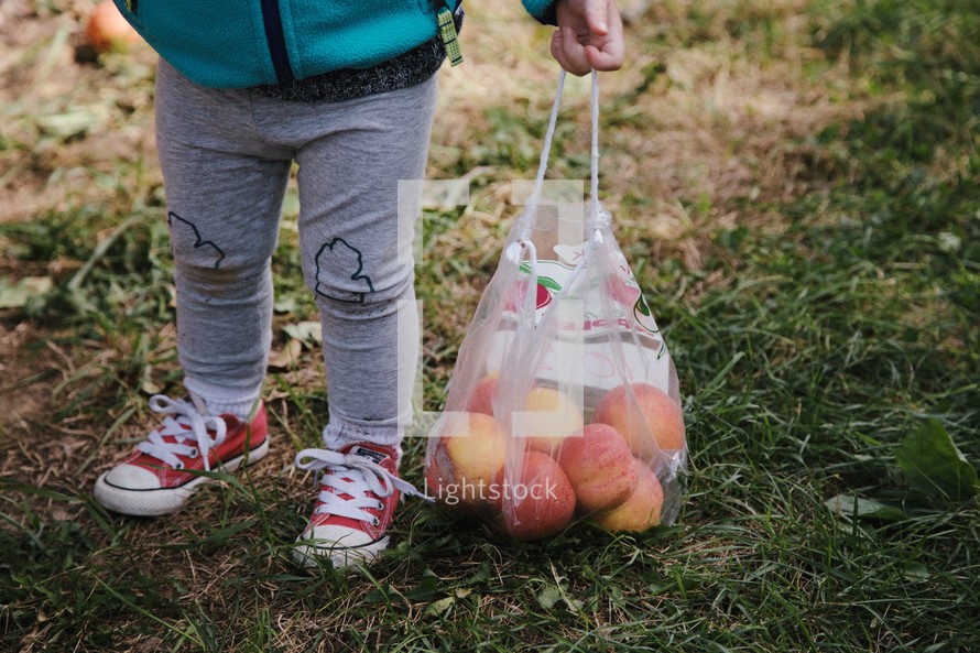 legs of a toddler girl carrying a bag of apples 