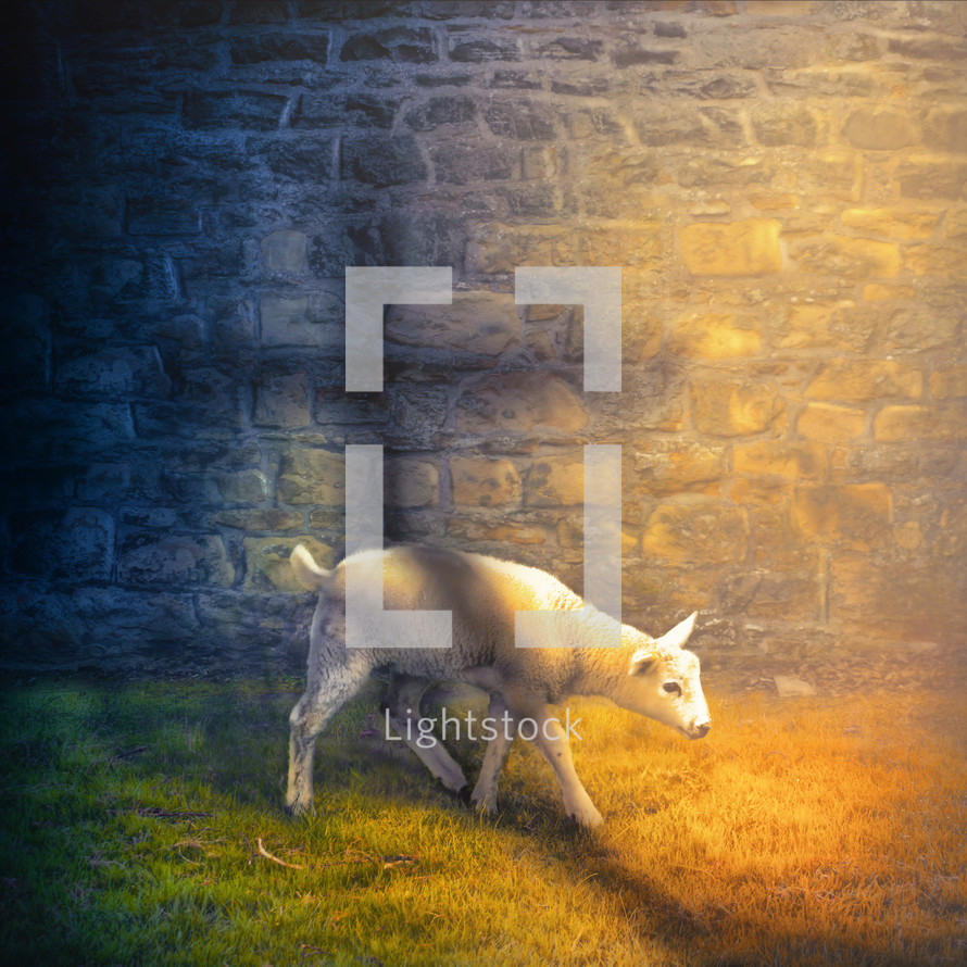 A colorful image of a white lamb with the shadow of the cross of Jesus.