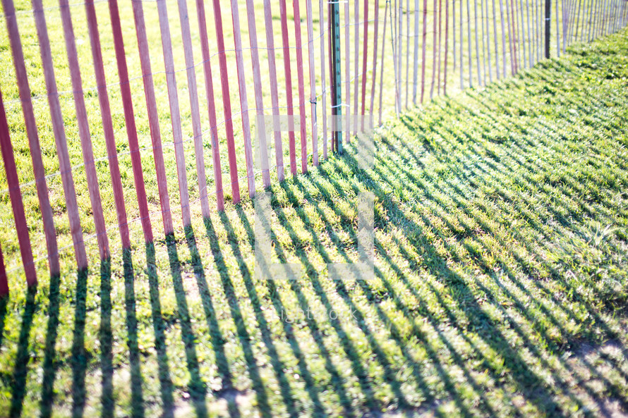 Shadows on fence poles in the grass.