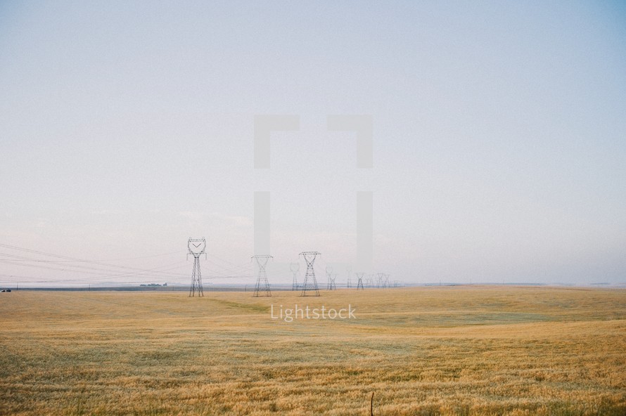 power lines in a field 