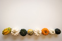 Gourds on a white background 