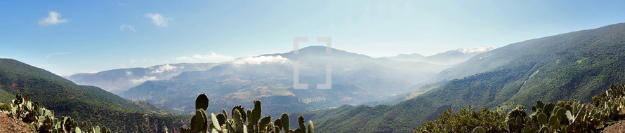 mountain landscape with cactus 